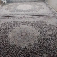 فرش 1200شانه کم کار 2عدد|فرش|بانه, |دیوار