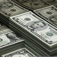 سرمایه‌گذاری