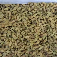 کشمش سبز|خوردنی و آشامیدنی|تهران, هرندی|دیوار