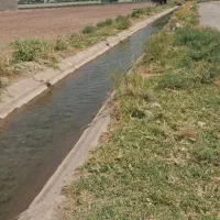 فروش باغچه۶۰۰ متری دزفول جاده بن جعفر بوستان شادی|فروش دفتر صنعتی، کشاورزی، تجاری|اهواز, آریاشهر|دیوار