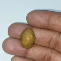 مهره (زوعه مار)اصل|کلکسیون اشیاء عتیقه|برازجان, |دیوار
