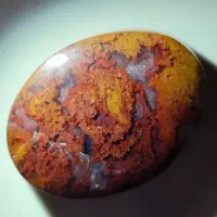 شجر پاییزه|کلکسیون اشیاء عتیقه|مشهد, احمدآباد|دیوار