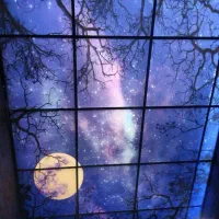 فروش و اجرا سقف کاذب و دیوار پوش و قرنیز نوری|خدمات پیشه و مهارت|نوشهر, |دیوار