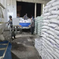 برنج کامفیروزی|خوردنی و آشامیدنی|کر, |دیوار