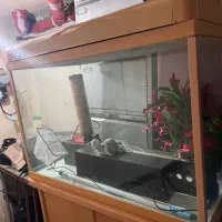 آکواریوم همراه بامیز|ماهی|رشت, استقامت ۲|دیوار