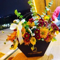 گلکده لنالند|گل و گیاه طبیعی|قائمشهر, |دیوار