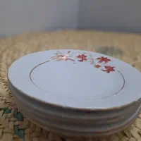 ظروف فروشی