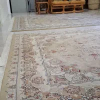 جفت فرش شش ۶ متری نگین مشهد|فرش|خشکبیجار, |دیوار