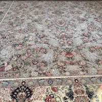 فرش ۱۲متری|فرش|جم, |دیوار