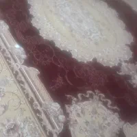 فرش در حد نو