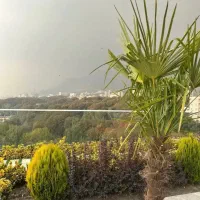گلستان-شمالی340مترچشم-انداز-ابدی-سبز