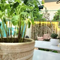 کلاس کودک ونوجوان نقاشی،رباتیک،سفالگری،نجاری،خلاقی