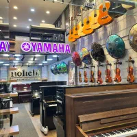 پیانو دیجیتال فول مدل / ضمانتنامه معتبر