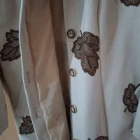 پالتوبهاره