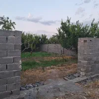 زمین-سند-تک-برگ-تهراندشت