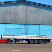 لبه ماموت ۸۹ شرکتی