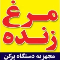 مرغ کیلویی ۱۱۰