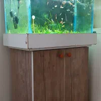 آکواریم با ابعاد ۶۰ ×۴۰×۴۰|ماهی|سبزوار, جهاد کشاورزی|دیوار
