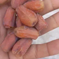 خرما خشک تازه بلوچستان|خوردنی و آشامیدنی|سراوان, |دیوار