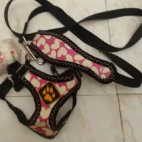 جای خواب(لانه) و قلاده سگ و گربه|لوازم جانبی حیوانات|تهران, تهرانسر شمالی|دیوار