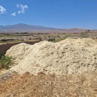 فروش کاه گندم-کاه کوب