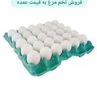 خرید و فروش تخم مرغ به قیمت