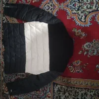 کاپشن سبز و سیاوش و کرمی|لباس|شیراز, گلشن|دیوار