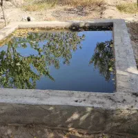 زمین باغ ۵۰۰ متری نزدیک به حاشیه شهر|فروش زمین و ملک کلنگی|مشهد, کوشک مهدی|دیوار