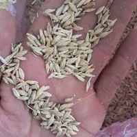 جو حیوانی ۲تن|عمدهفروشی|ویلکیج, |دیوار