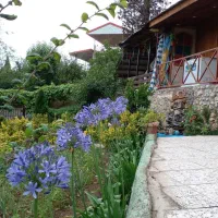 اجاره ویلا  سوئیت سنتی|اجارهٔ کوتاه‌مدت آپارتمان و سوئیت|پایین هولار, |دیوار