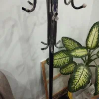 جالباسی ایستاده