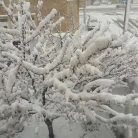 خیابان بهشت غربی