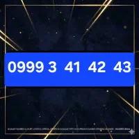 0999-3-41-42-43