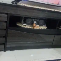 وسائل خانگی|سیستم صوتی خانگی|سمنان, |دیوار