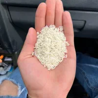 خریدو فروش برنج مستقیم از  کشاورز با بهترین قیمت|خوردنی و آشامیدنی|آمل, |دیوار