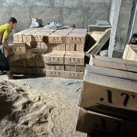 ذغال بامبو برش خورده|عمده‌فروشی|قزوین, |دیوار