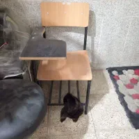 3 عدد صندلی دانش آموزی|صندلی و نیمکت|اصفهان, باغ فدک|دیوار