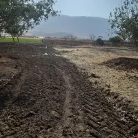 زمین کشاورزی بارانی درجه یک|فروش دفتر صنعتی، کشاورزی، تجاری|بیلوار, |دیوار