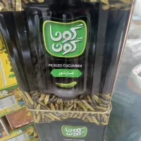 خیارشور گوناگون