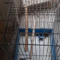 وسایل منزل|فرش|کرج, شهرک فهمیده|دیوار