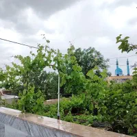 فروش-ویلایی-شهرک-جانبازان-تربیت