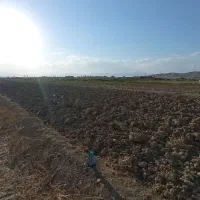 زمین مناسب برا ساخت ویلا یا باغچه تفریحی|فروش زمین و ملک کلنگی|سلماس, |دیوار