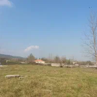 لنگه گوشواره پیداشده