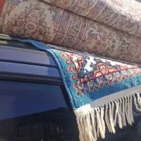 تعدادی فرش 12متری و 6و 9متری  قیمت خوب|فرش|قشم, |دیوار