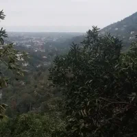 فروش 250زمین با ویو ابدی جنگل و دریا