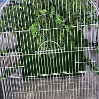 قفس بزرگ|لوازم جانبی حیوانات|ارومیه, |دیوار