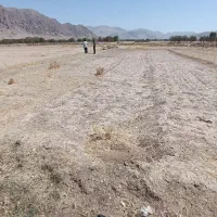 زمین زراعتی، استهبان، پلونو