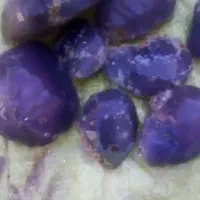 همه رنگ و همه طرح