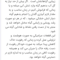 آبخوان سرامیکی (آبیاری هوشمند)|گل و گیاه طبیعی|بیرجند, |دیوار