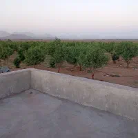 باغ|فروش زمین و ملک کلنگی|مبارکه, |دیوار